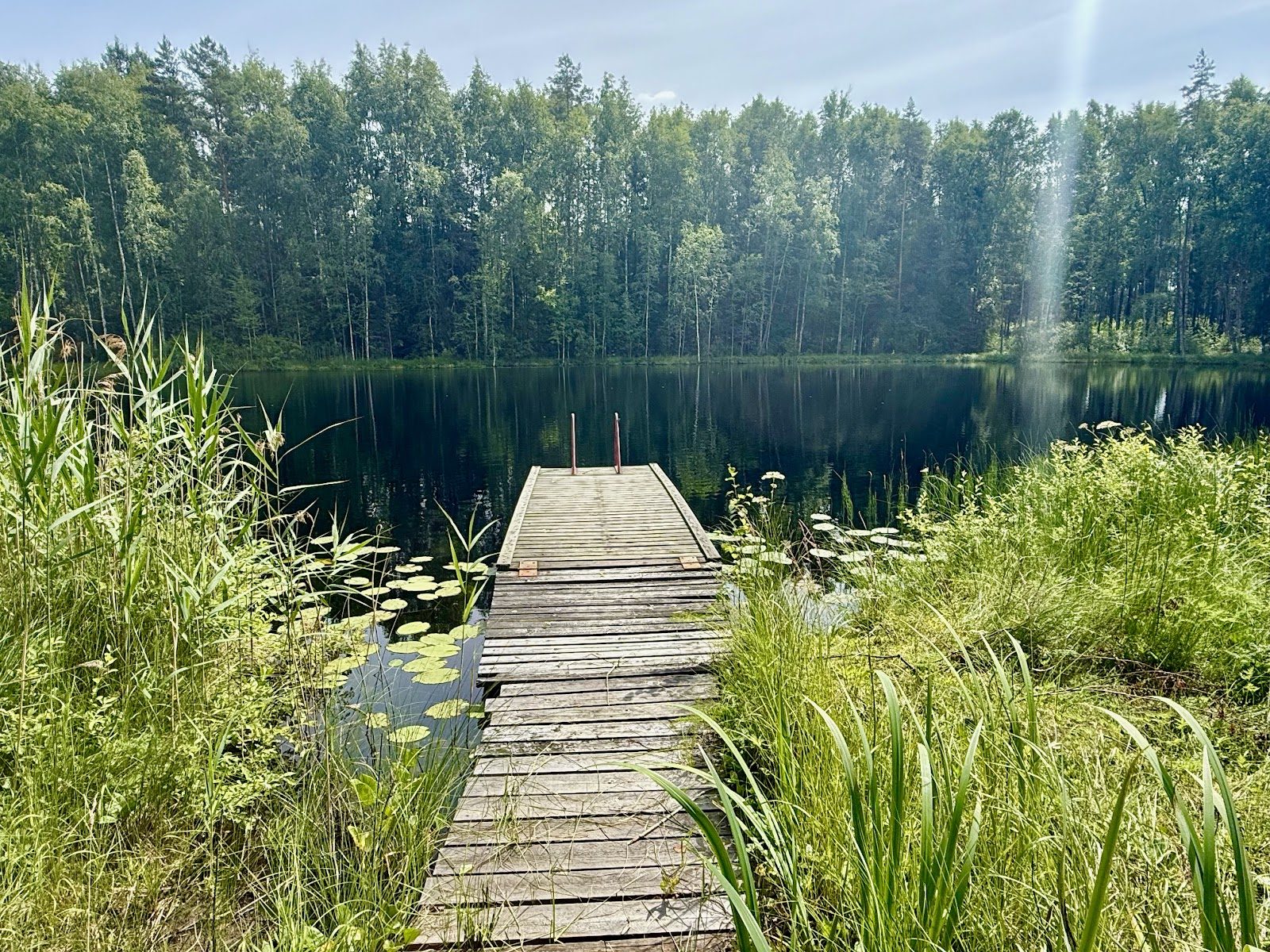 Puulaituri uimaportailla ulottuu tyyneen, ruovikon ja lumpeiden reunustamaan järveen, ympärillä tiheä kesämetsä.